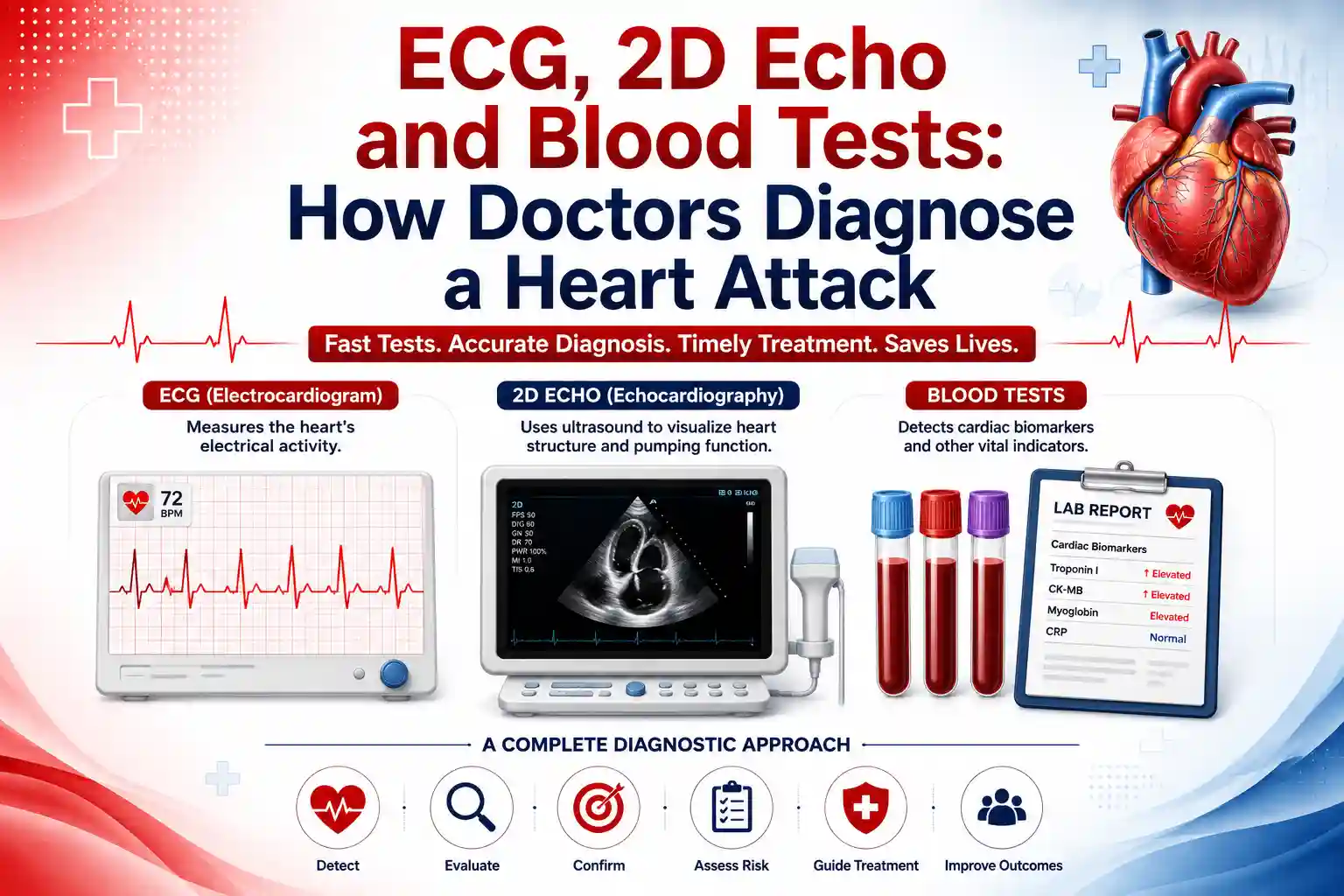 ECG, 2D Echo & Blood Tests: How They Help Diagnose Heart Attack