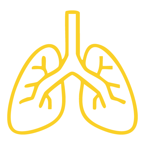 Pulmonology