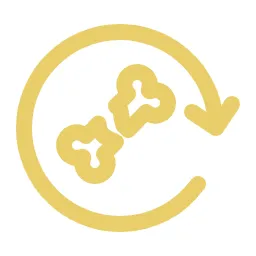 Cartilage Restoration