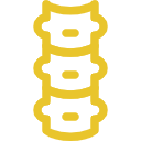 Spine
