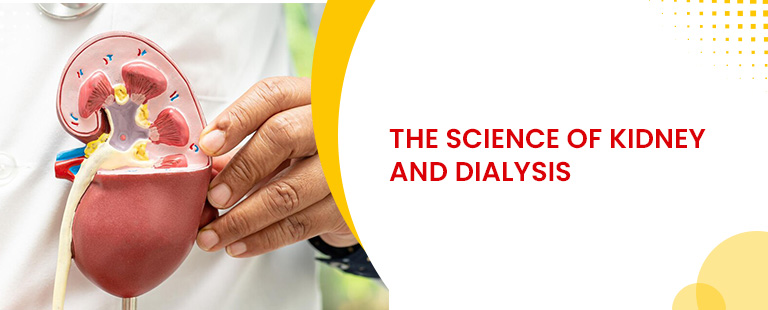 The Science of Kidney and Dialysis