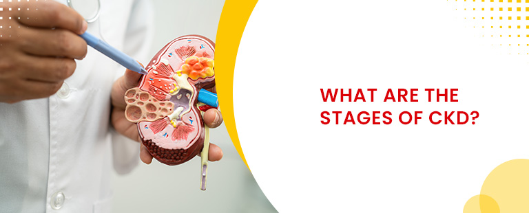 What are the stages of ckd